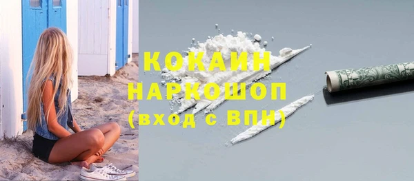 PSILOCYBIN Горно-Алтайск