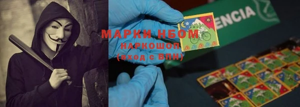 ГАЛЛЮЦИНОГЕННЫЕ ГРИБЫ Горняк