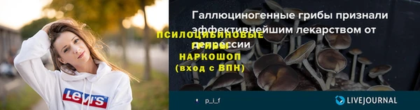 PSILOCYBIN Горно-Алтайск