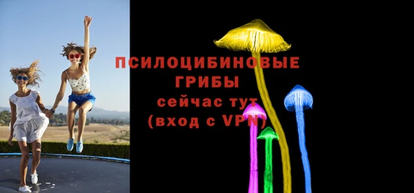 прущий лед Михайловка