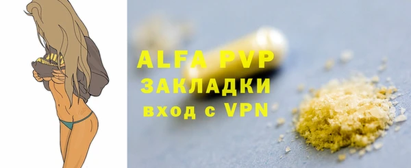 ГАЛЛЮЦИНОГЕННЫЕ ГРИБЫ Горняк