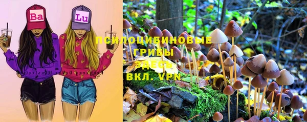 PSILOCYBIN Горно-Алтайск