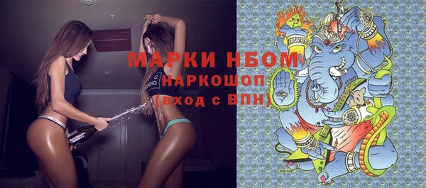 ГАЛЛЮЦИНОГЕННЫЕ ГРИБЫ Горняк
