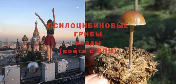 ГАЛЛЮЦИНОГЕННЫЕ ГРИБЫ Горняк