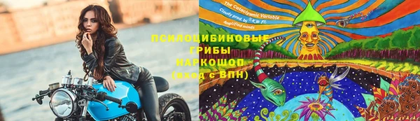 ГАЛЛЮЦИНОГЕННЫЕ ГРИБЫ Горняк