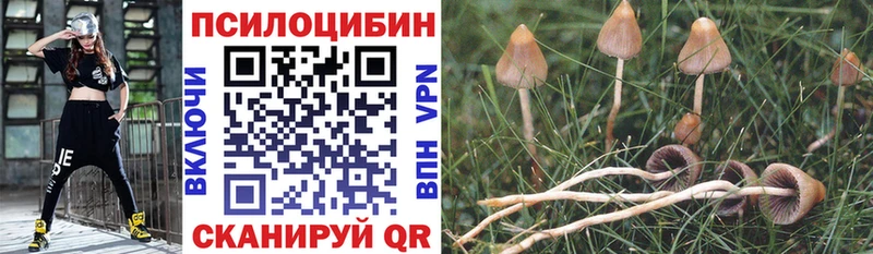 Галлюциногенные грибы GOLDEN TEACHER  цена   blacksprut рабочий сайт  Далматово 