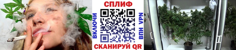Бошки Шишки LSD WEED купить наркотик Далматово